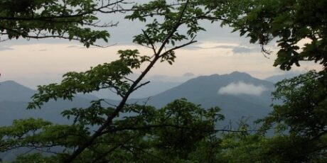 Wanderung Makino 03d | OAG-Wanderung zum Mikuni-Pass (三国峠), Jinba-san (陣馬山) und Kagenobu-san (影信山)