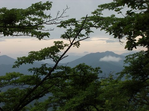 Wanderung Makino 03d