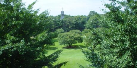 International Christian University (ICU)