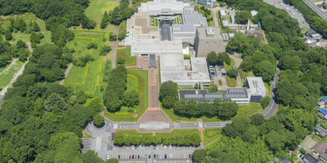 National Museum of Japanese History in Sakura
