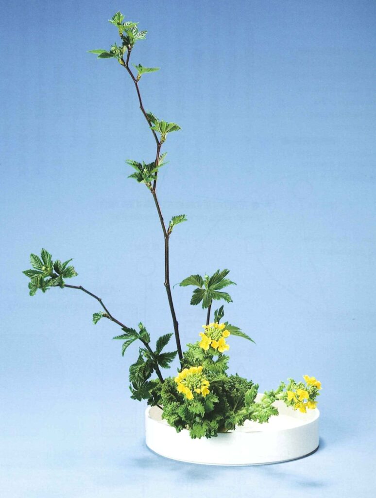 Hatsuike: Ikebana zum Jahresanfang Nr 8 {19.7.2026}
