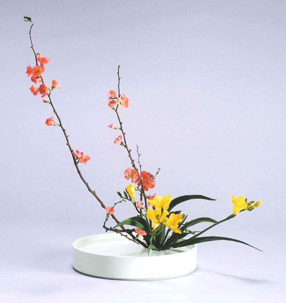 Hatsuike: Ikebana zum Jahresanfang Nr 9 {19.7.2026}