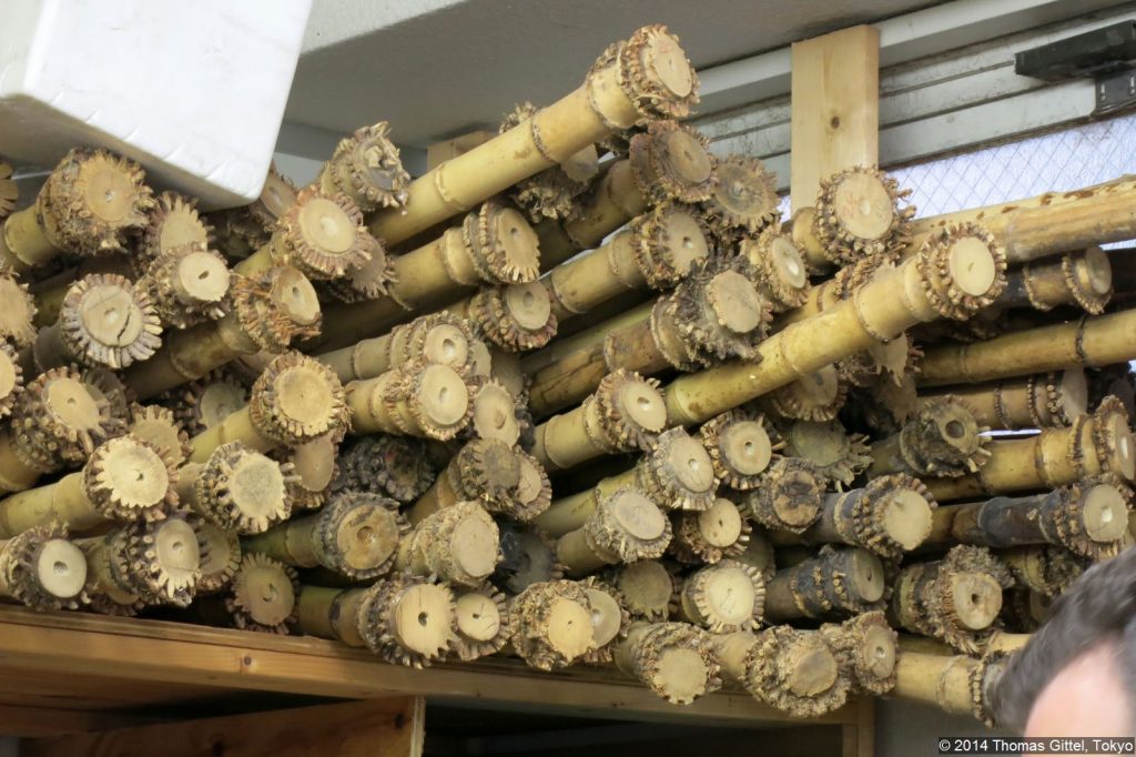 Bambus-Rohmaterial für die Herstellung von Shakuhachi-Flöten