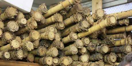 Senshū Shakuhachi Kōbō, Komae | Bambus-Rohmaterial für die Herstellung von Shakuhachi-Flöten Senshū Shakuhachi Kōbō, Komae | Bambus-Rohmaterial für die Herstellung von Shakuhachi-Flöten