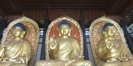 Tajima Daibutsu Tajima Daibutsu