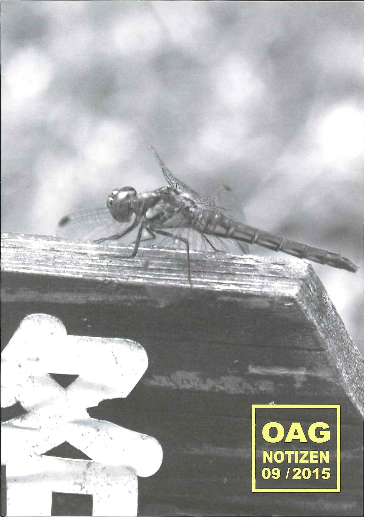 Armin Stein OAG Deutsche Gesellschaft F r Natur Und V lkerkunde 