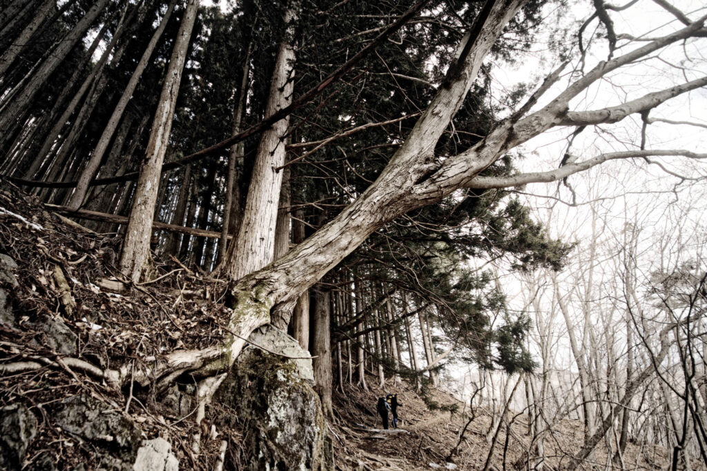 Sajita Toshiyasu, Fuyugare no Michi, Photography/Paper, 41 x 27,3 cm