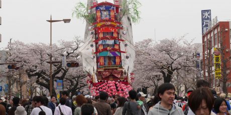 Hitachi Sakura Fest