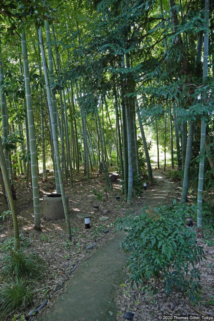 Buaisō (武相荘) - Besichtigung des Buaisō in Tsurukawa bei Machida und Spaziergang durch den Yakushi’ike-Park