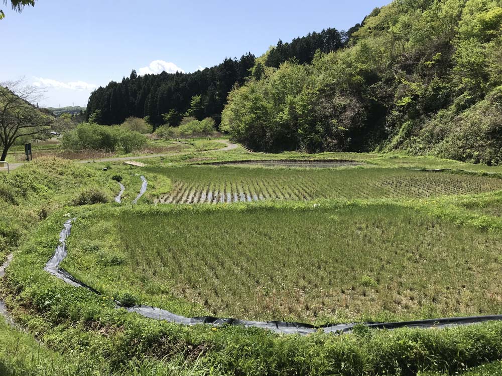 Typische Satoyama-Landschaft