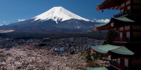 Kirschblueten vor der Chureito Pagode und dem Berg Fuji, aufgenommen im April 2019.