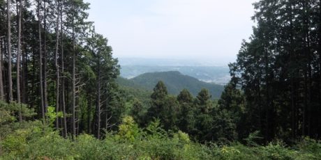 Otakatoriyama 1