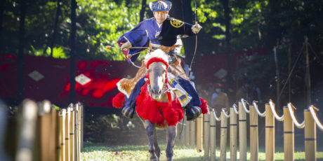 Kyū-Dōjō am Meiji-Schrein
