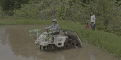 Vorführung des Dokumentarfilms „Reisfeld statt Tokio. Japans junge Landfrauen“