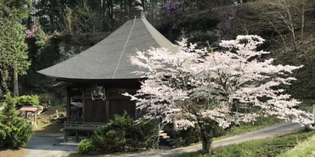 Frühjahrswanderung | Kyūshō-ji, Nr. 25 Frühjahrswanderung | Kyūshō-ji, Nr. 25