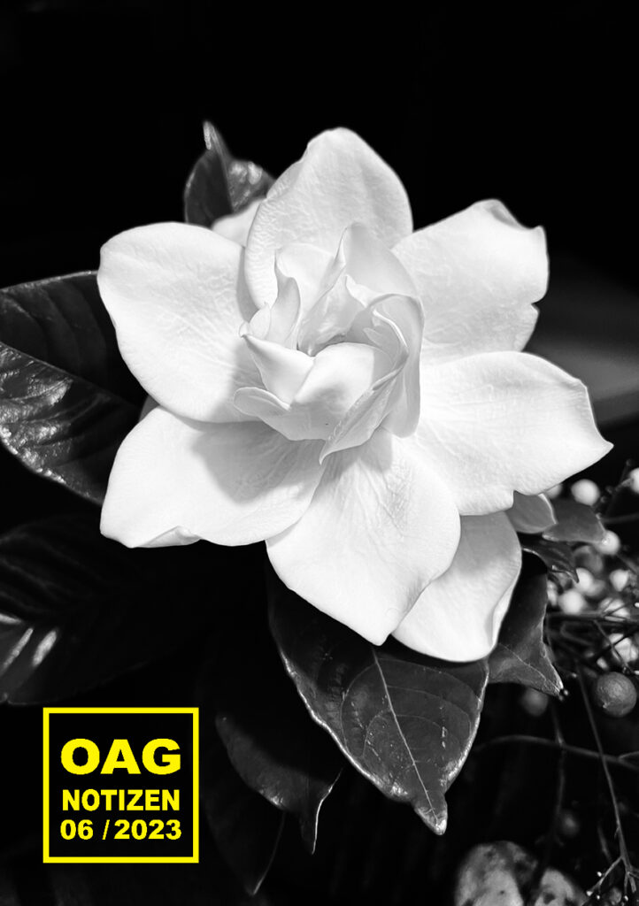 OAG202306月号表紙