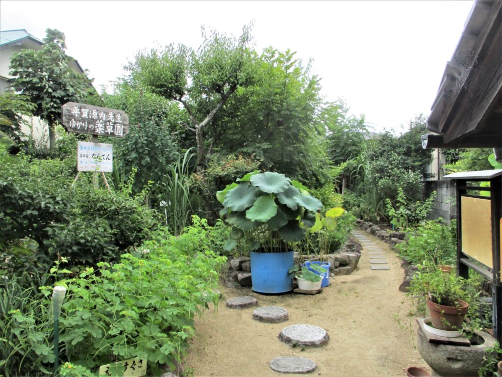 Foto 13 | Gennais Kräutergarten