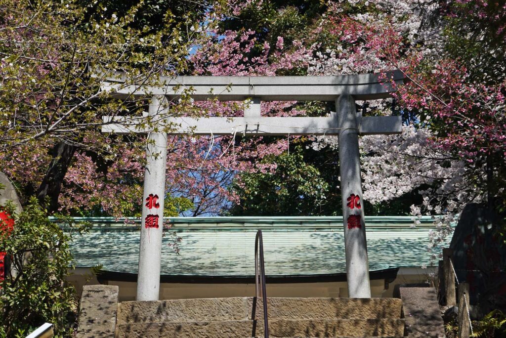 Komagome-Fuji-jinja | Torii auf dem Gelände des Komagome-Fuji-jinja