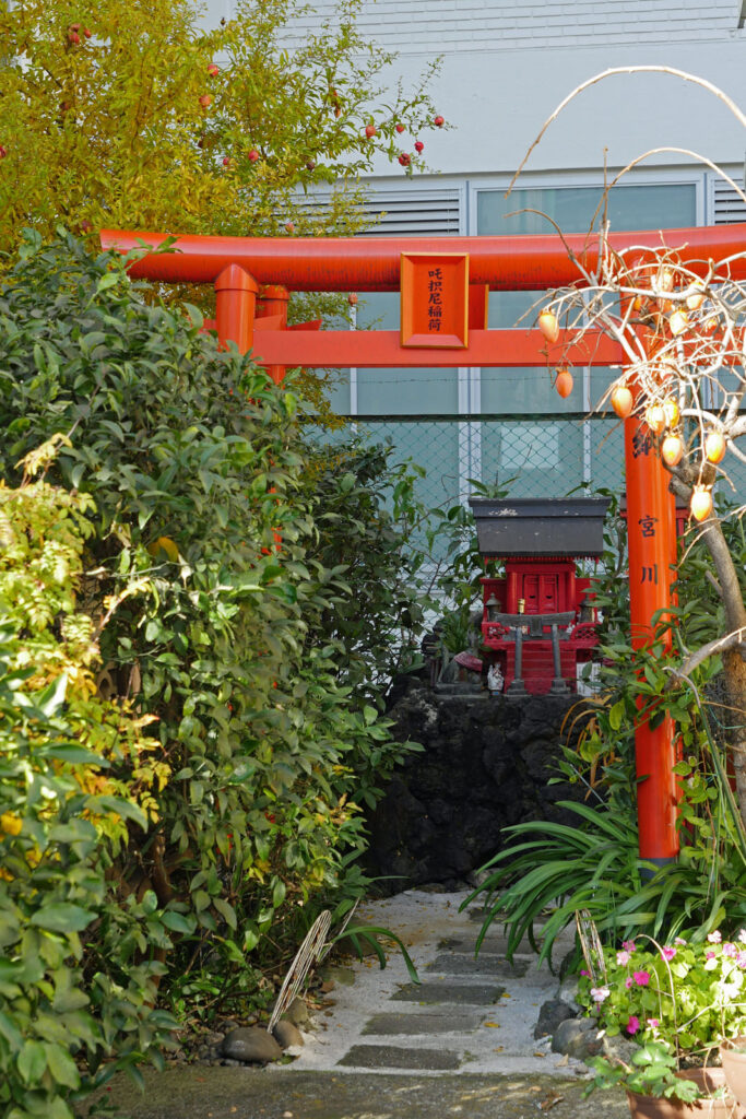 Aikyōinari-jinja, Ichigaya | Torii auf dem Gelände des Aikyōinari-jinja