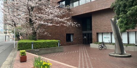 Kirsche 25 | 25.3.2026