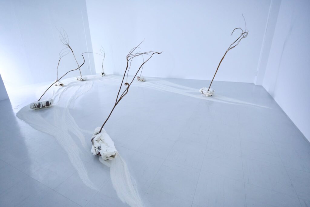 ギャラリー檜①2026,2