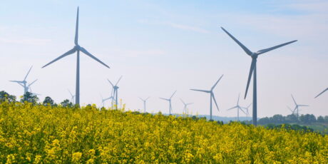 Nunobiki-Windfarm-01